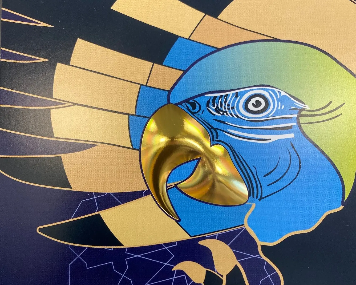 Optical Lenses: An encounter with something totally unexpected